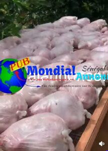 Poulets de Chair