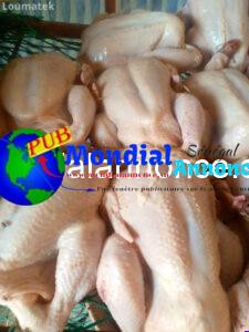 Poulets De Chair Disponibles