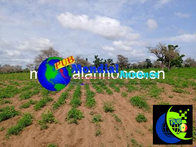 2026 10 01 131743 abcf1247