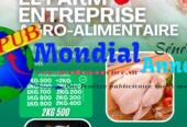 Vente de Poulets de Chair à Bon Prix de 1KG 500 à 2KG 500 – EL FARM