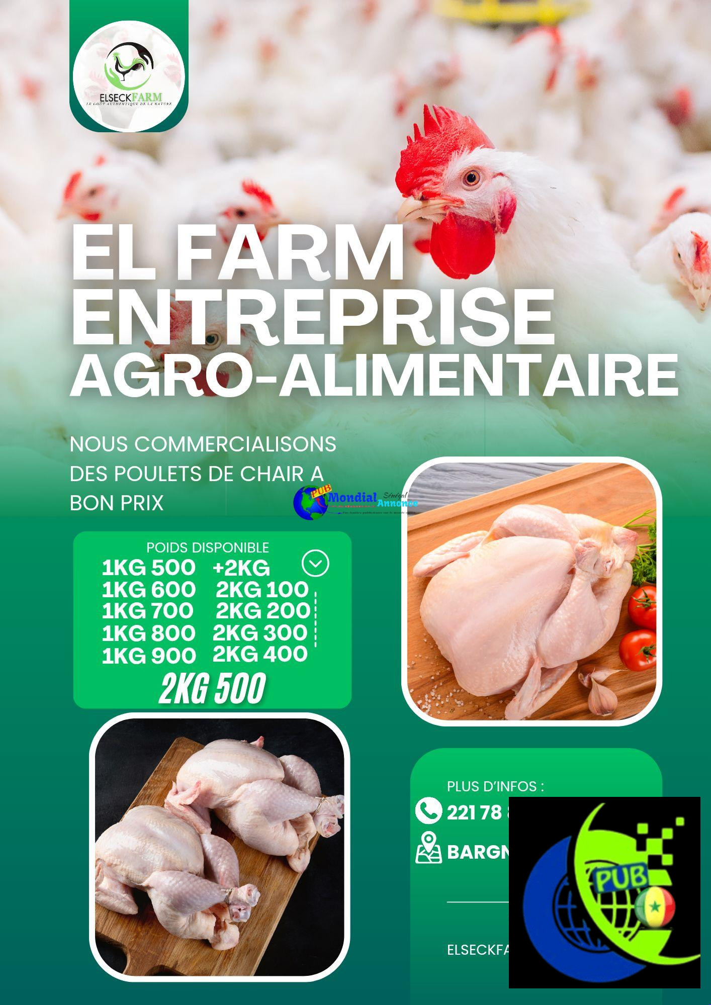 Vente de Poulets de Chair à Bon Prix de 1KG 500 à 2KG 500 – EL FARM
