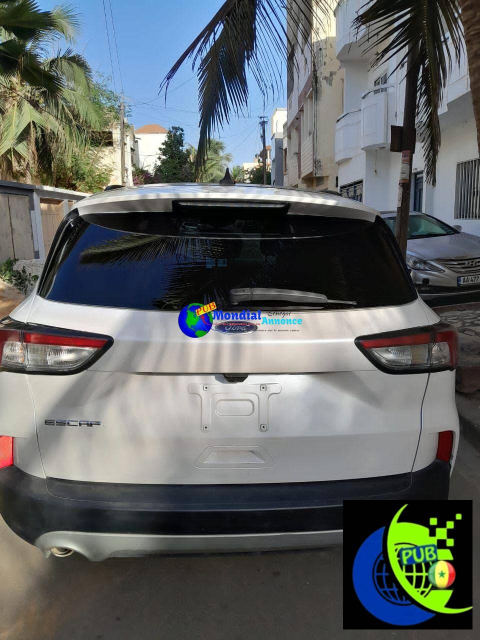 Ford Escape 1.5 2021 – Automatique, Full Options