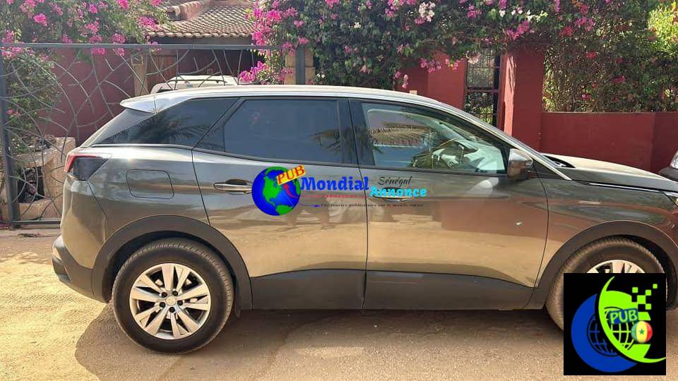 Peugeot 3008 Diesel 2019 – Manuelle | 115 000 km | 13 000 000 F