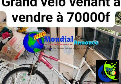 481245431_1697462241156286_2108873826617101238_n