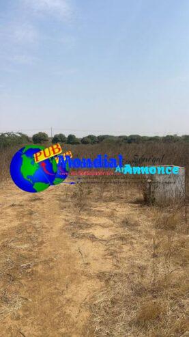 Terrain 200m² à Vendre à Ndayane S Mbour – Opportunité Exceptionnelle !