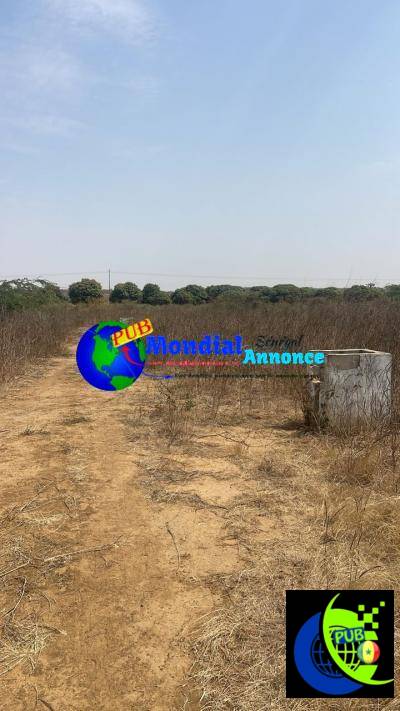 Terrain 200m² à Vendre à Ndayane S Mbour – Opportunité Exceptionnelle !