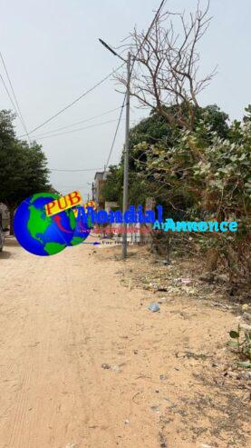 Lot de 4 Terrains de 225 mètres carrés à vendre à Malicounda