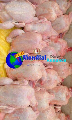 Poulet de Chair Frais – Livraison à Dakar, Thiès, Mbour & Saint-Louis au 78 734 02 04