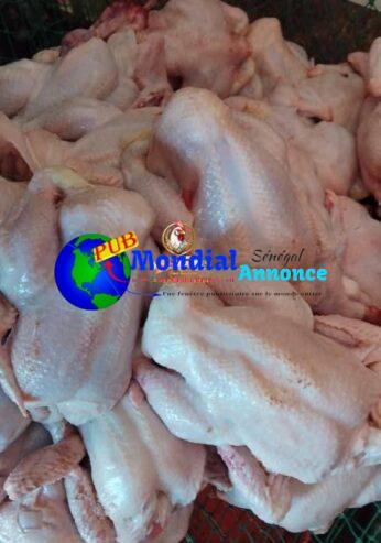 Poulet de Chair Frais – Livraison à Dakar, Thiès, Mbour & Saint-Louis au 78 734 02 04
