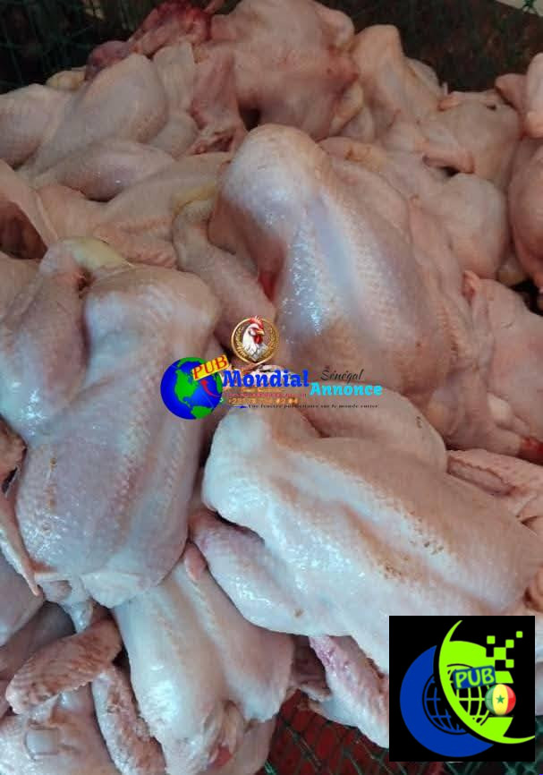 Poulet de Chair Frais – Livraison à Dakar, Thiès, Mbour & Saint-Louis au 78 734 02 04