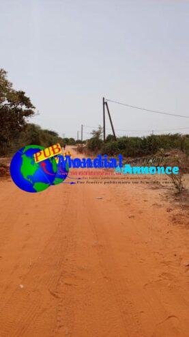 Terrains 200 mètres carrés à vendre à Bambilor