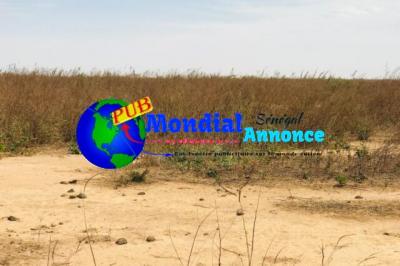 Terrain Agricole de 1,99 hectare vers Notto Diobas