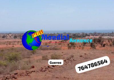 494707651_1708179400087680_2043435509224795520_n