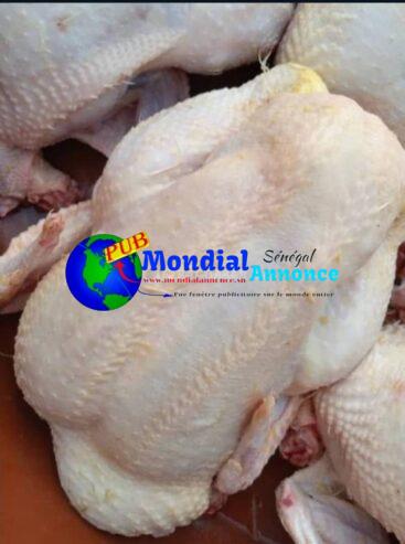 🐔 Poulets Frais 2kg Disponibles Poste Thiaroye – Volaille de Qualité