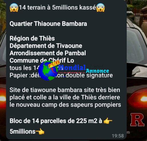 Offre Exceptionnelle : Bloc de 14 Terrains à Vendre – Thiaoune Bambara, Thiès (5 Millions FCFA !)