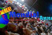 Bande de 500 poulets de chair disponibles – A Apix Tivaouane Peulh