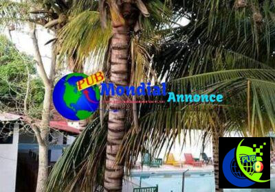 WhatsApp-Image-2026-05-13-at-11.42.40-1