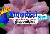 Poulets de 2 Kg de Qualité Supérieure disponibles aux Parcelles Assainies