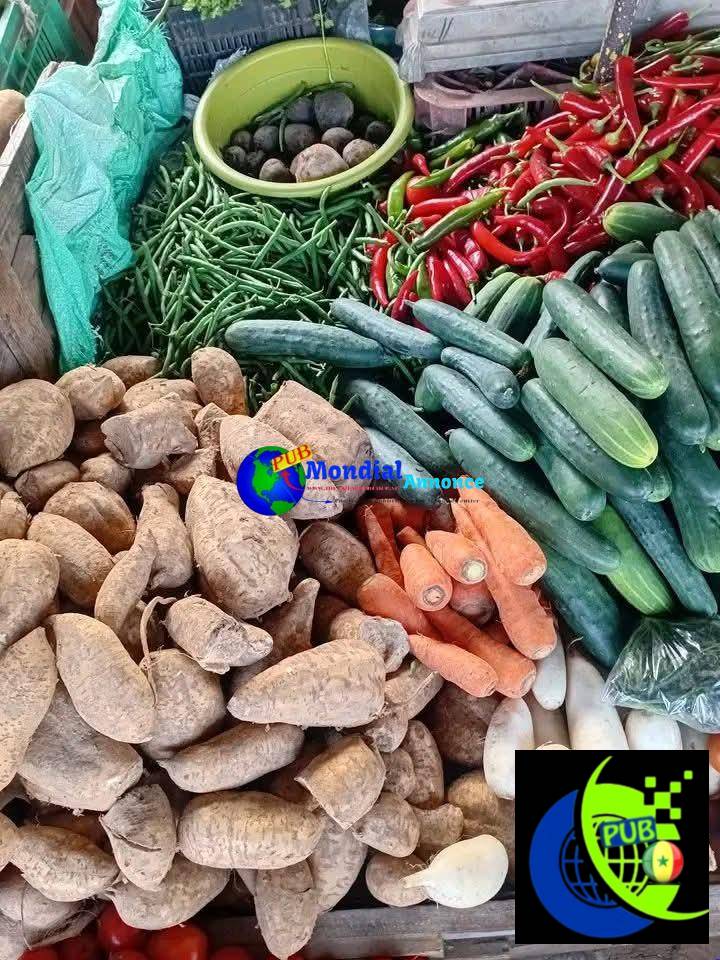 Vente de Légumes Frais à Dakar – Commandez et faites vous livrer à Domicile. Contact : 774470049