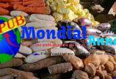 Vente de Légumes Frais à Dakar. Contact : 77 447 00 49