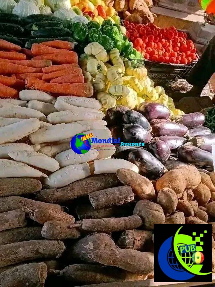 Vente de Légumes Frais à Dakar. Contact : 77 447 00 49
