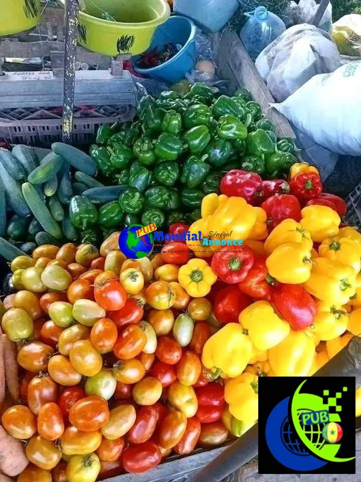 Vente de Légumes Frais à Dakar. Contact : 77 447 00 49