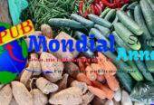 Vente de Légumes Frais à Dakar. Contact : 77 447 00 49