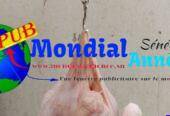 Poulets de Chair Frais et Vigoureux à Sébikotane dispo en Gros et Détail