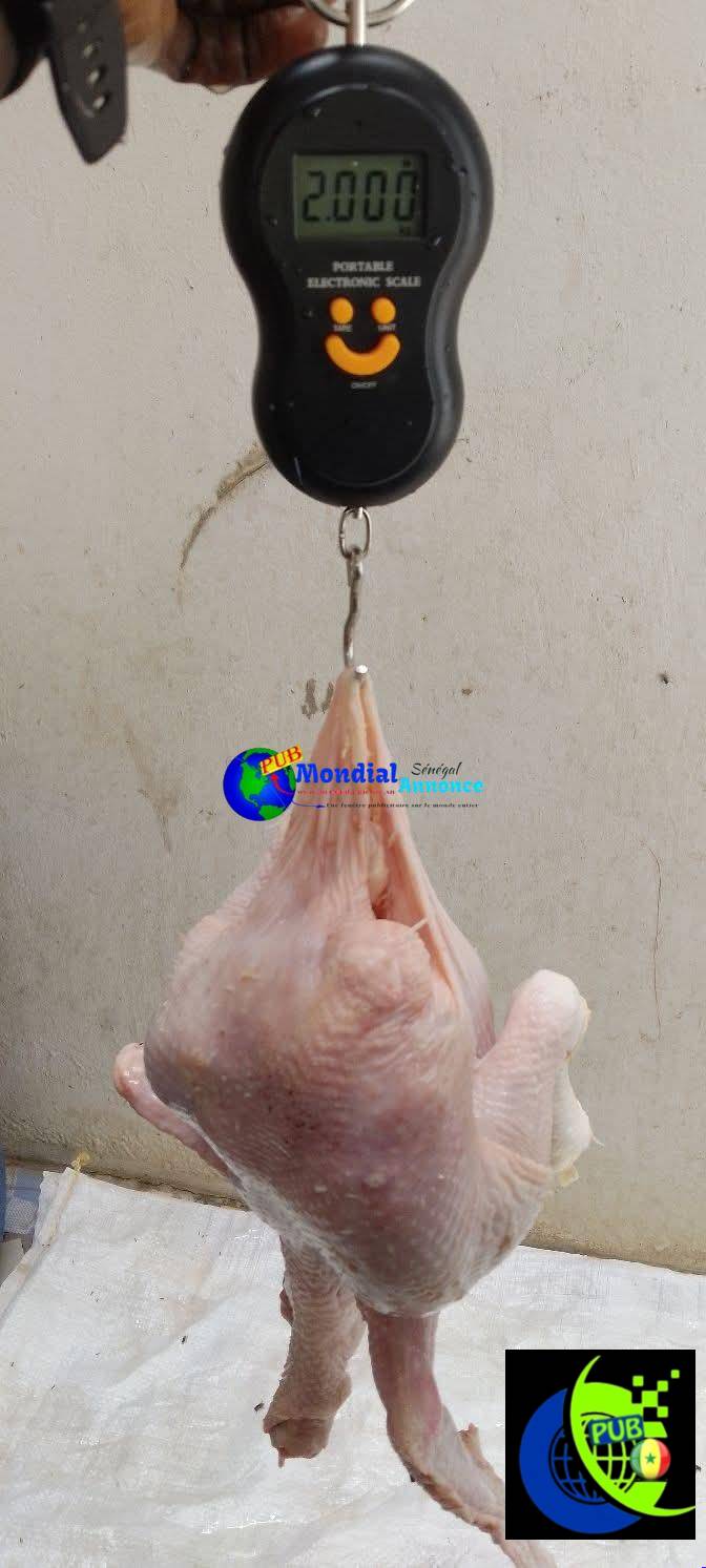 Poulets de Chair Frais et Vigoureux à Sébikotane dispo en Gros et Détail