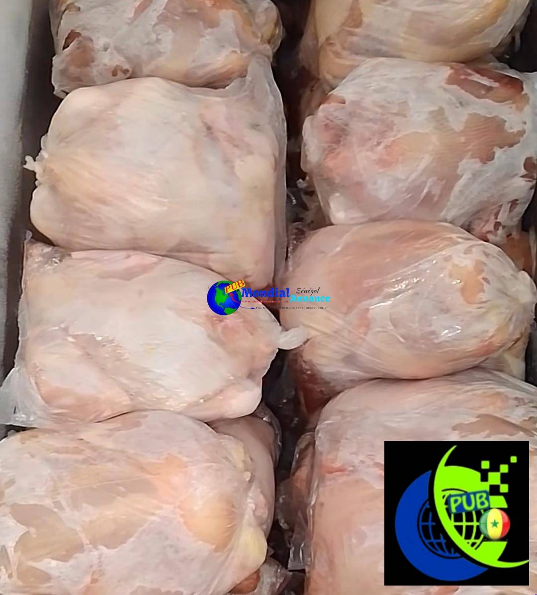 Poulets de Chair Frais et Vigoureux à Sébikotane dispo en Gros et Détail