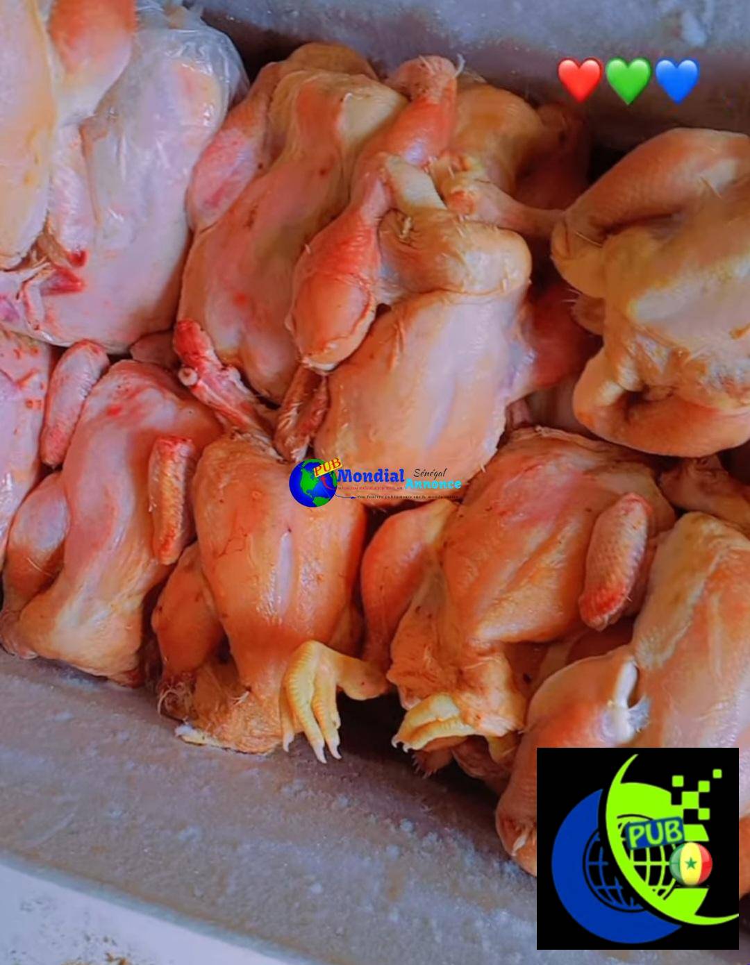 Poulets de Chair Frais de 1.6kg dispo à Dakar Médina