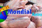 Poulets Frais disponibles à Ngor. Contact : 777785225