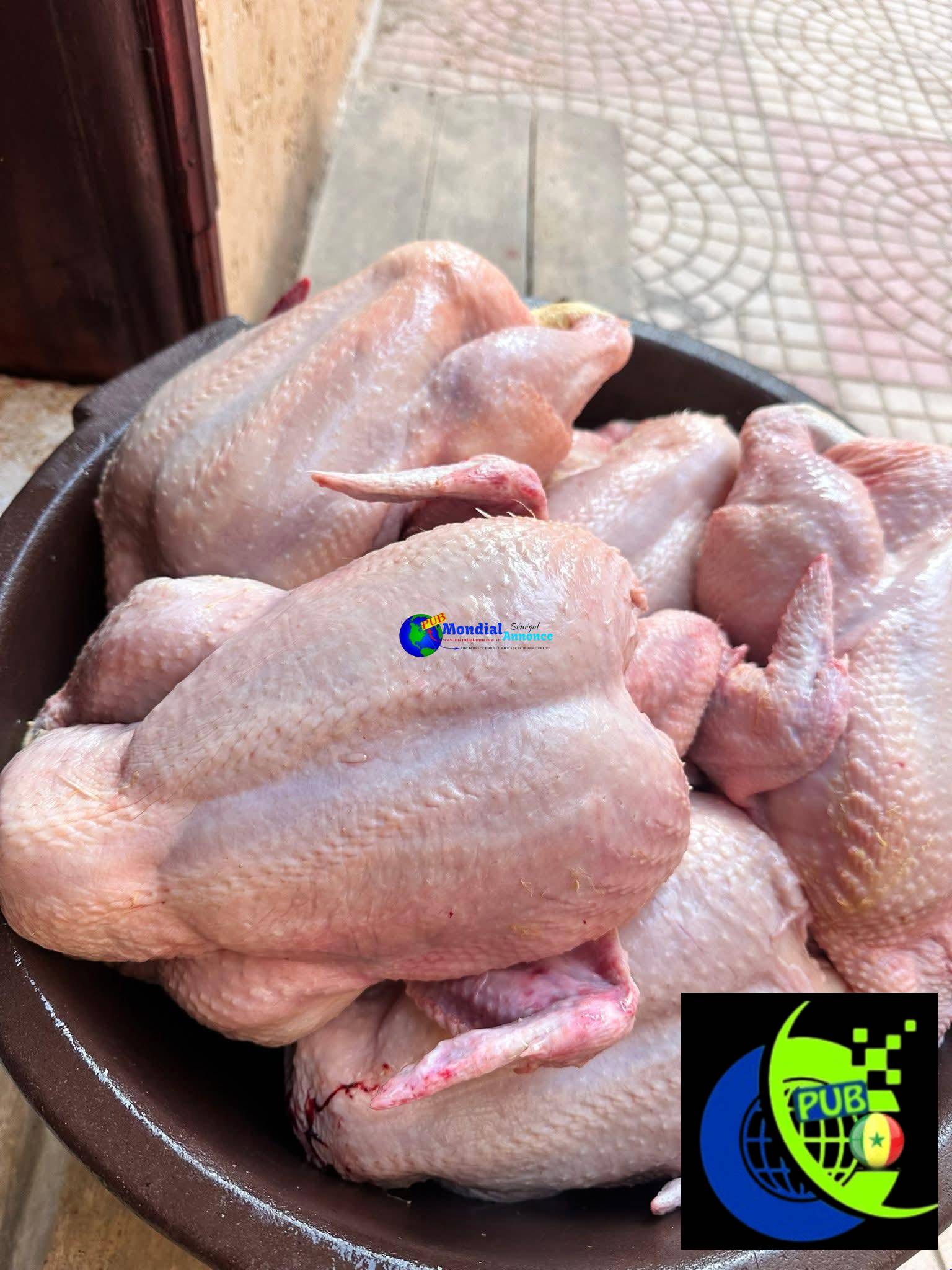 Poulets Frais disponibles à Ngor. Contact : 777785225