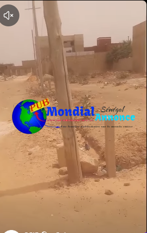 Terrain d’angle de 300 m² à vendre à Keur Massamba Guèye 1