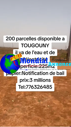 200 Parcelles à vendre à Tougouny–Opportunité d’investissement