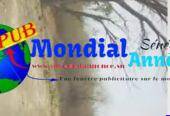 Champ de 2 hectares à vendre à Sanghé – 300 m de la route nationale