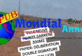 Terrain 300 m² à vendre à Ville Neuve Pointe Sarène – 5 000 000 FCFA