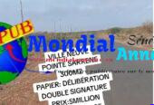 Terrain 300 m² à vendre à Ville Neuve Pointe Sarène – 5 000 000 FCFA