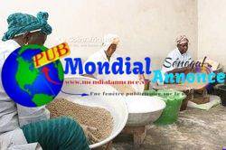 thumb_5767576_uploaded_image1_1770715823
