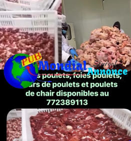 Capture-decran-2026-05-08-111426