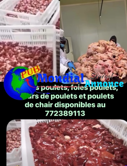 Poulets de Chair, Gésiers, Foies et Cœurs de Poulet à Vendre–Livraison Gratuite dès 100 kg