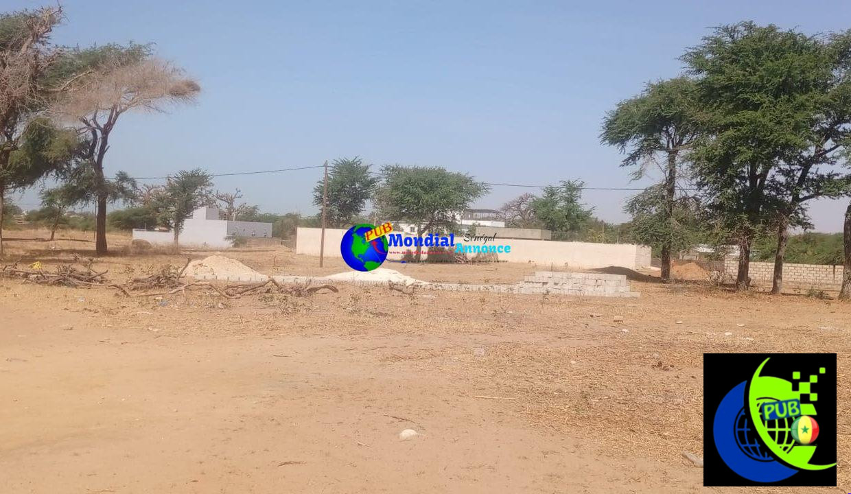 🏡 Terrain de 300 m² à vendre à Nianing Gandiol