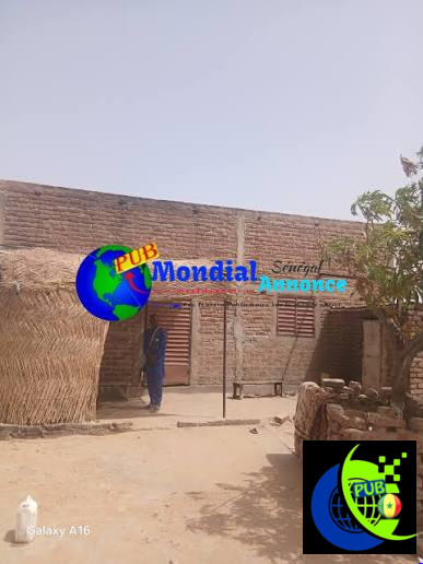 🏡 Terrain de 300 m² à vendre à Nianing Gandiol