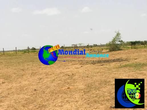 2 Terrains de 300 m² à vendre à Somone – Cité Sonatel