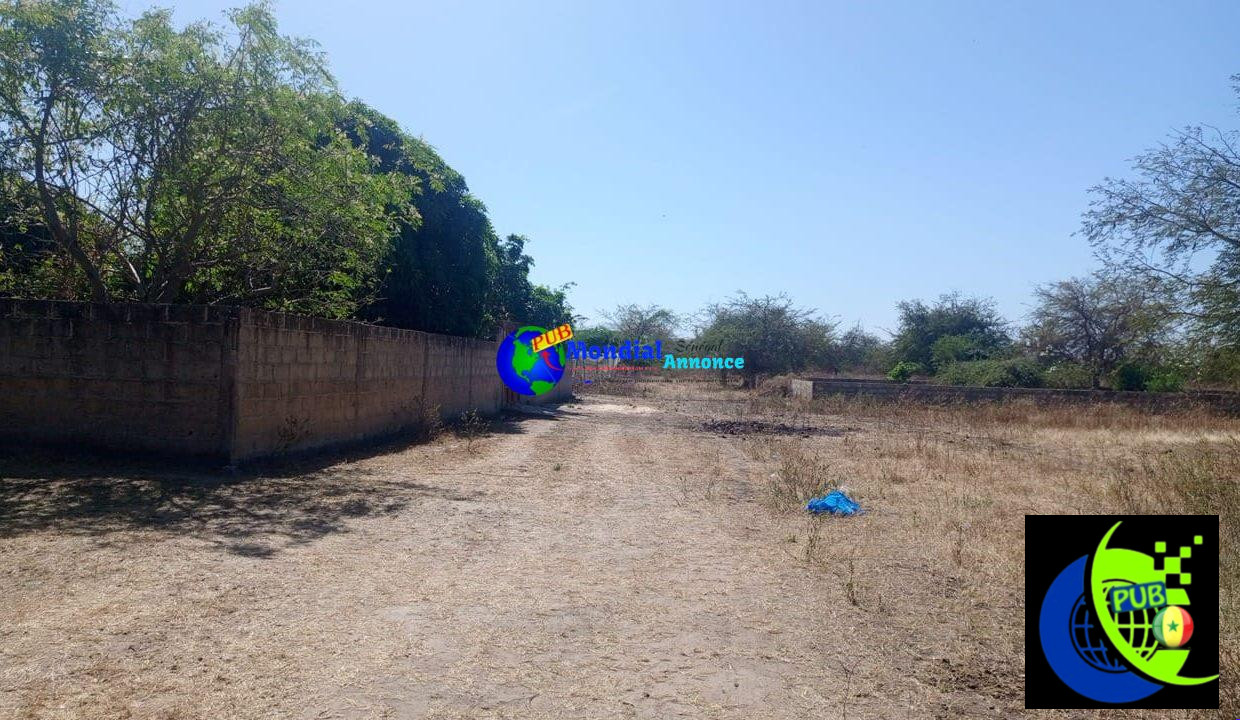 terrain-de-600m2-a-mbodiene-04-1240×720-1