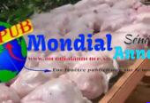 Vente : Poulets de Chair déjà Emballés (1,4 kg à 1,7 kg) à Mboro