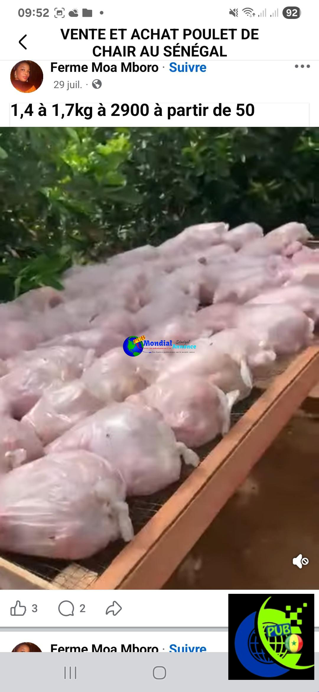 Vente : Poulets de Chair déjà Emballés (1,4 kg à 1,7 kg) à Mboro