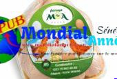 Vente : Poulets de Chair déjà Emballés (1,4 kg à 1,7 kg) à Mboro