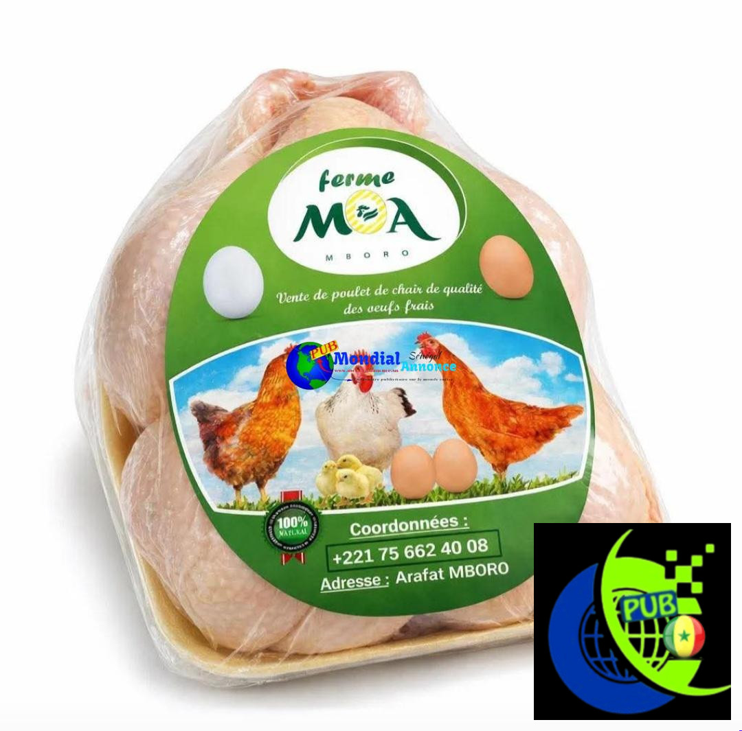 Vente : Poulets de Chair déjà Emballés (1,4 kg à 1,7 kg) à Mboro