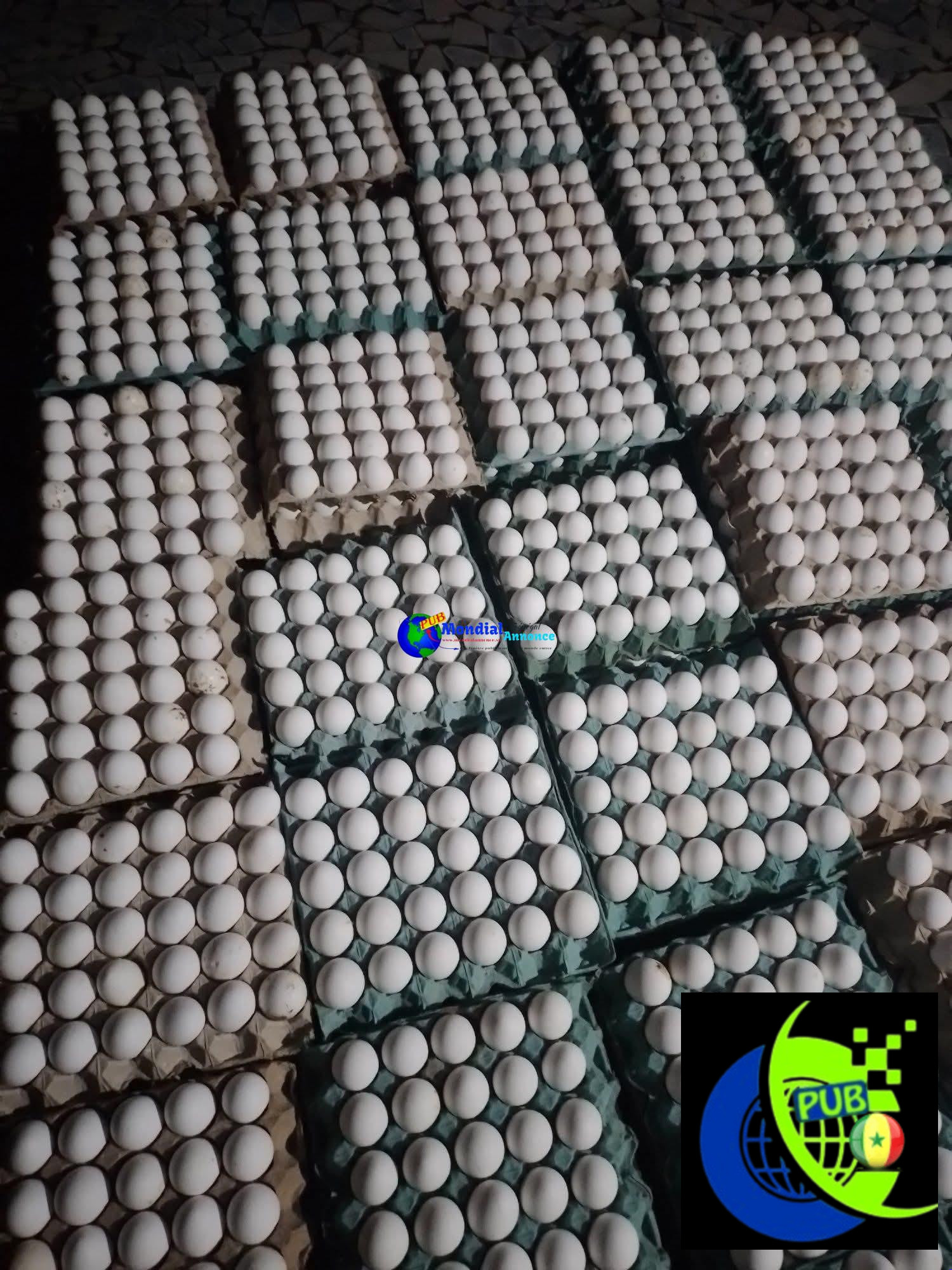 1000680558